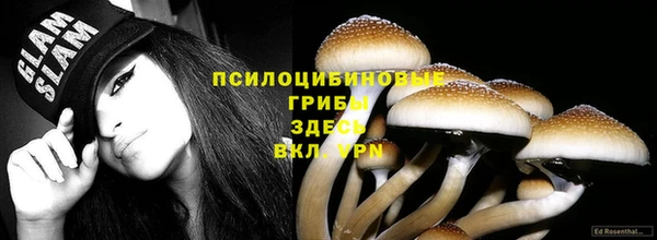 индика Пестово