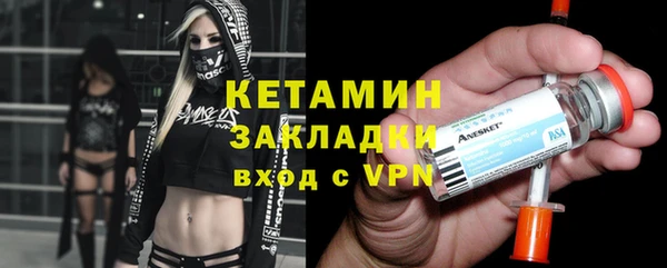 индика Пестово