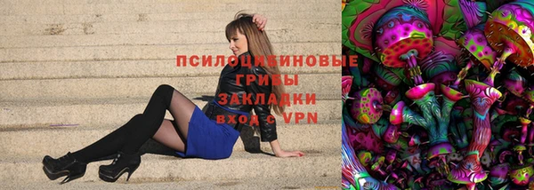 Альфа ПВП Пересвет