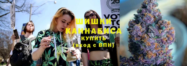 индика Пестово