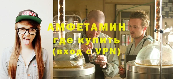 индика Пестово