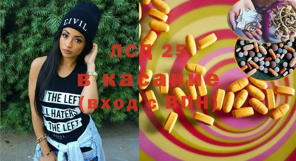 индика Пестово