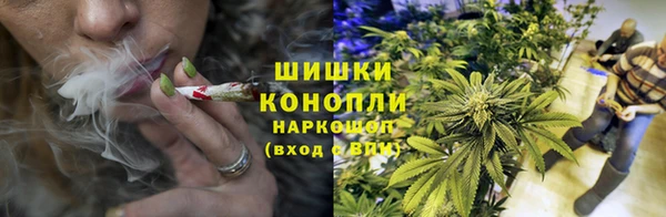 Альфа ПВП Пересвет