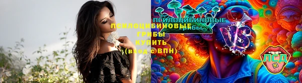 Альфа ПВП Пересвет